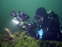 Digitale Unterwasserfotografie